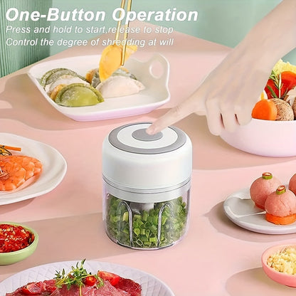 Compact Electric Garlic  Vegetable Chopper 250ml USB Grinder
