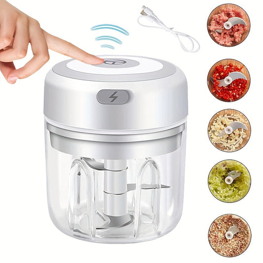 Compact Electric Garlic  Vegetable Chopper 250ml USB Grinder