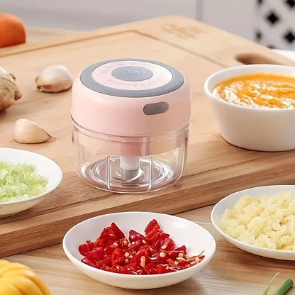Compact Electric Garlic  Vegetable Chopper 250ml USB Grinder